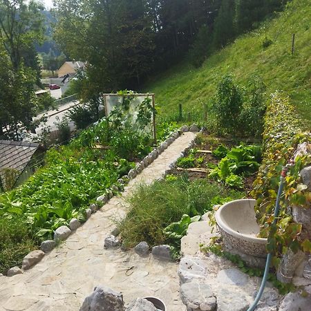 Natur apartma Rudi Begunje na Gorenjskem Bagian luar foto