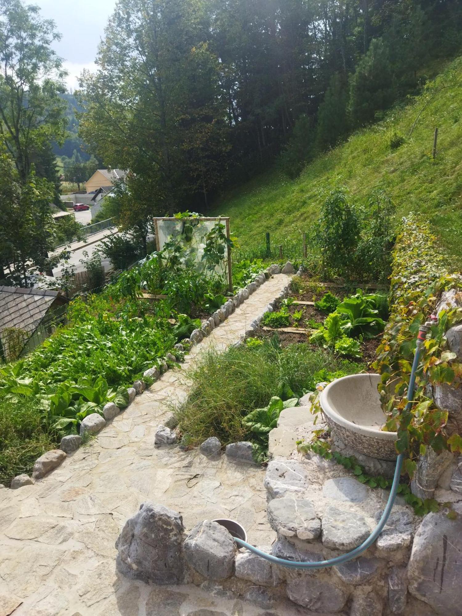 Natur apartma Rudi Begunje na Gorenjskem Bagian luar foto